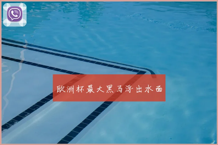 欧洲杯最大黑马浮出水面