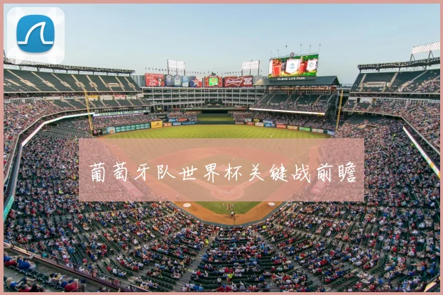 葡萄牙队世界杯关键战前瞻