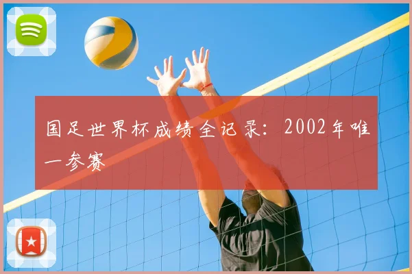 国足世界杯成绩全记录:2002年唯一参赛