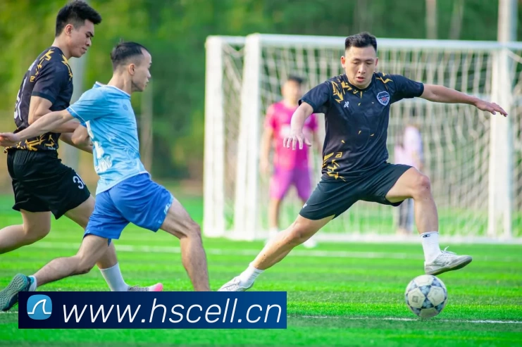 滚球买球的app官网APP 封面图